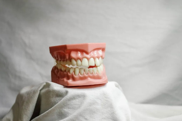 Choosing a Phrozen Dental 3D Printer 2