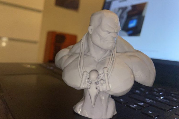 Voxelab Proxima 6.0 3D Printer Review 13