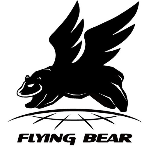 FlyingBear Aone 3D Printer Review 1